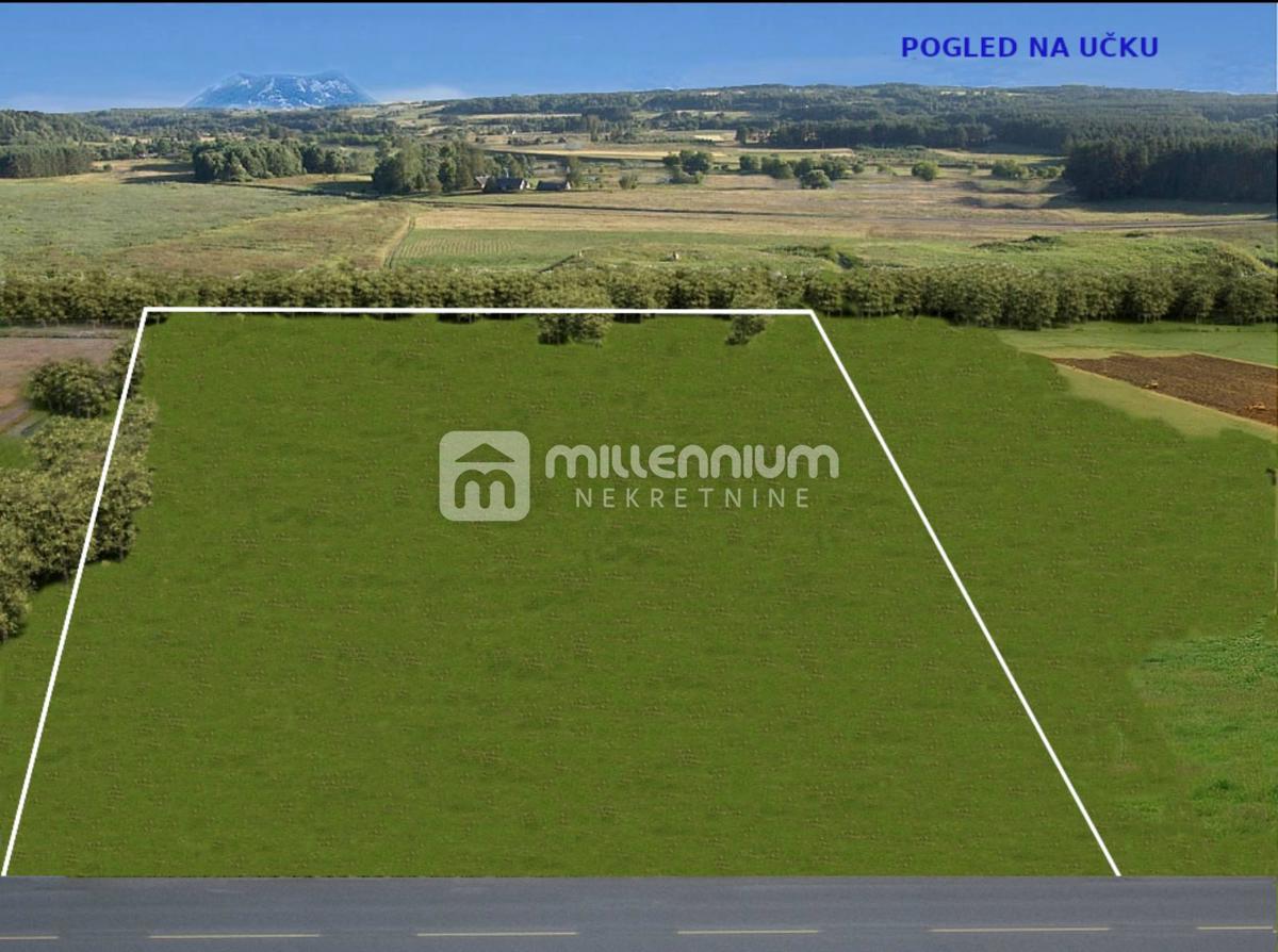Terreno Svetvinčenat, 5.465m2