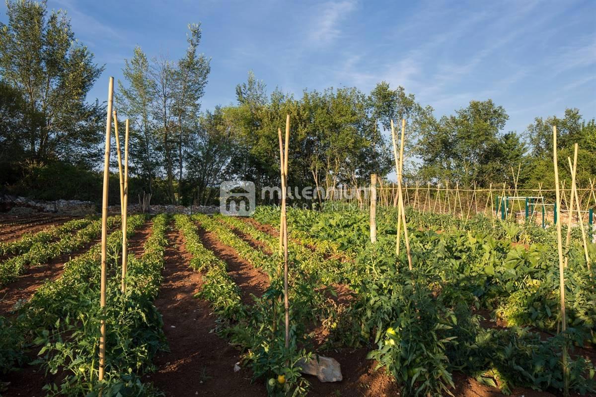Casa Rovinj, 372m2