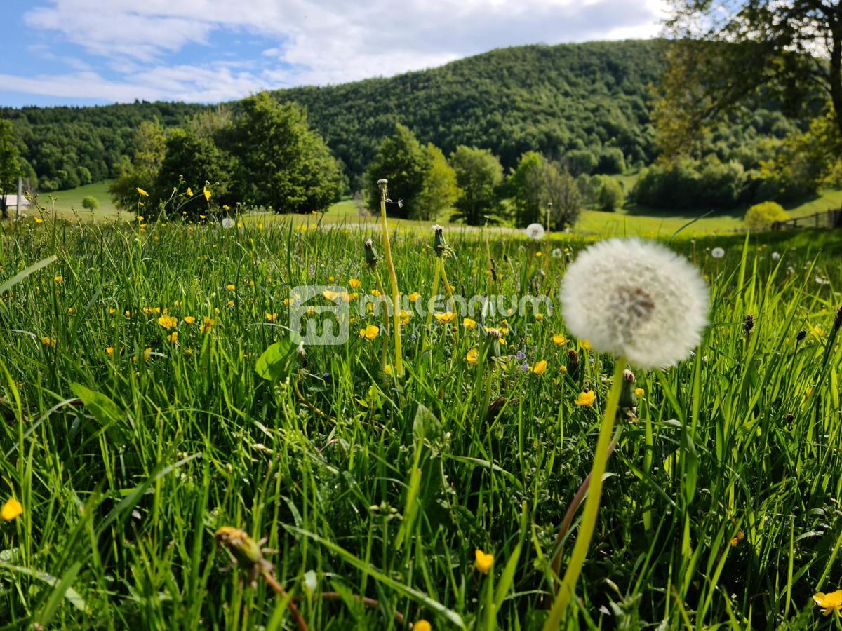 Terreno Begovo Razdolje, Mrkopalj, 1.406m2