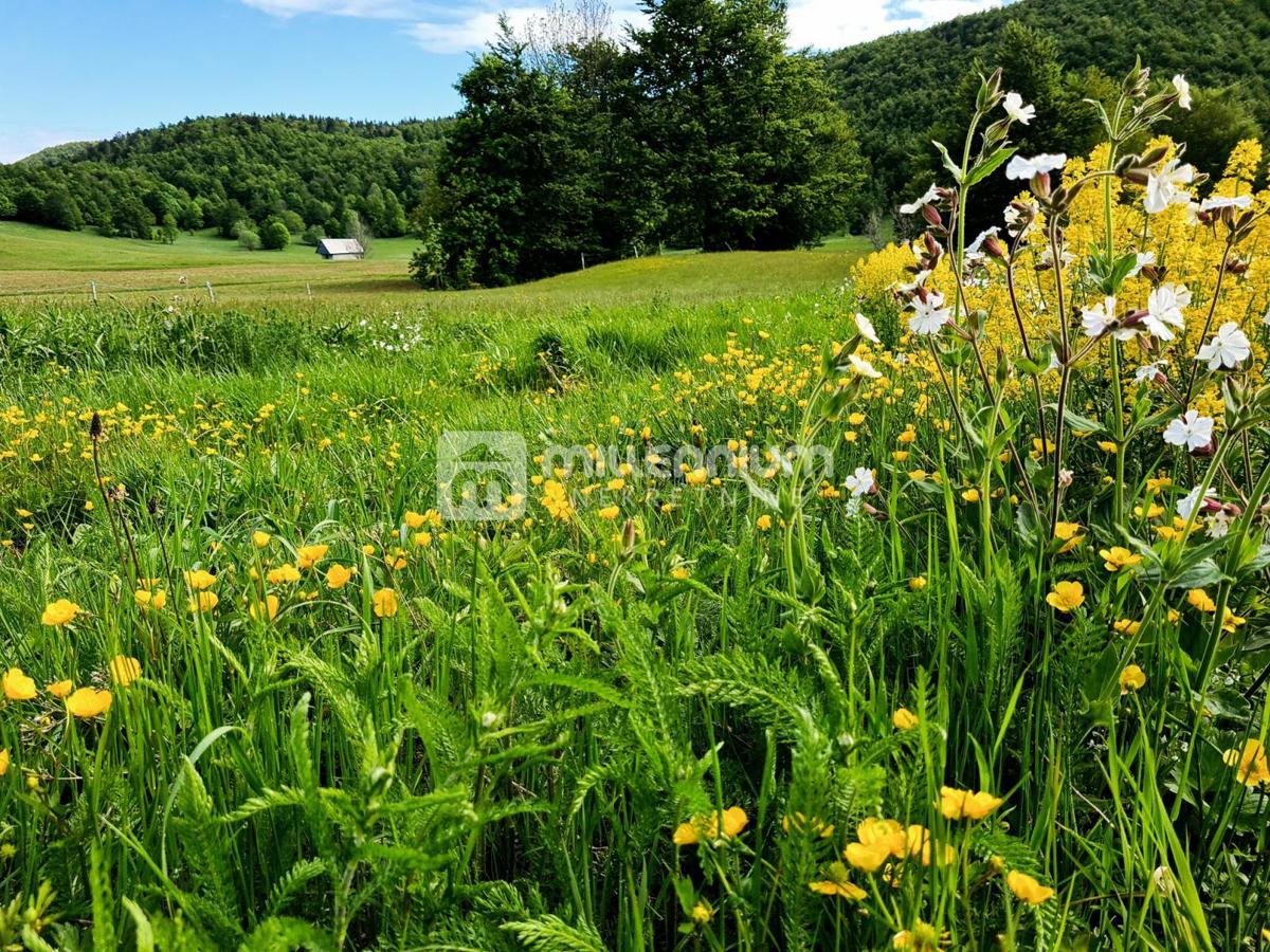 Terreno Begovo Razdolje, Mrkopalj, 1.406m2