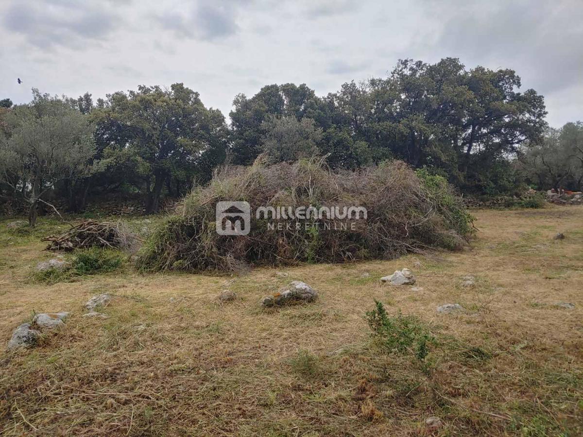 Terreno Silba, Zadar - Okolica, 1.176m2