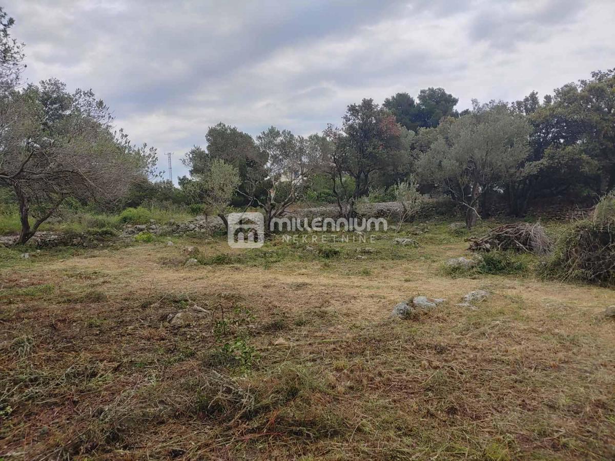 Terreno Silba, Zadar - Okolica, 1.176m2
