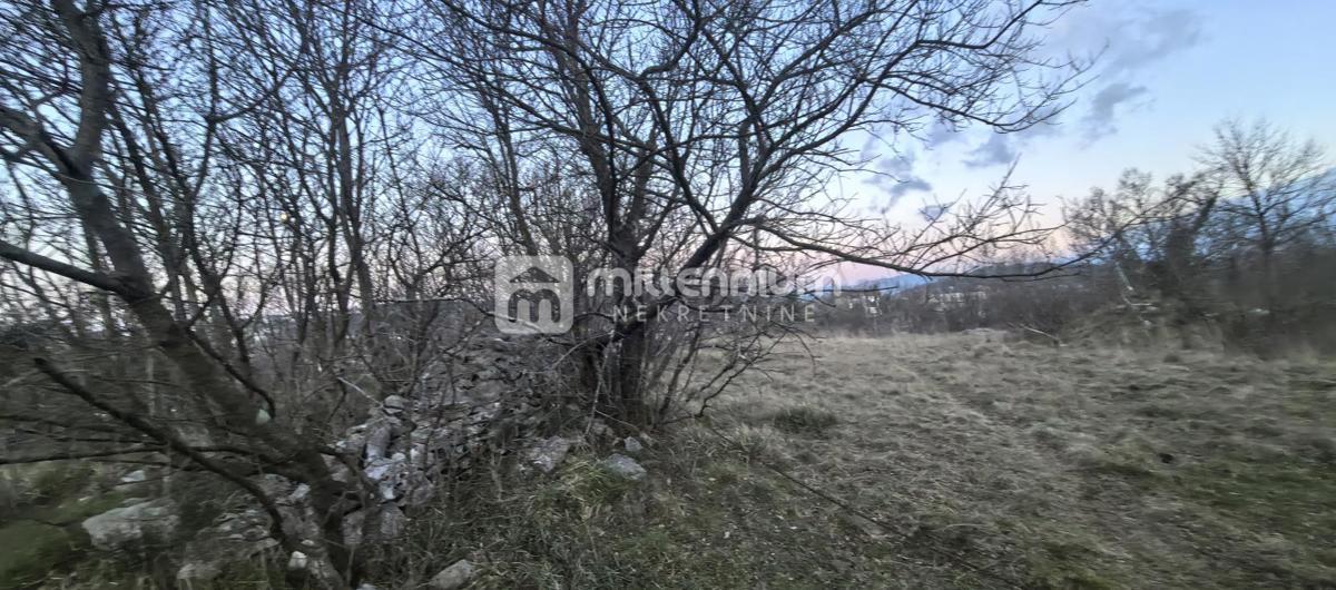 Terreno Cernik, Čavle, 2.472m2
