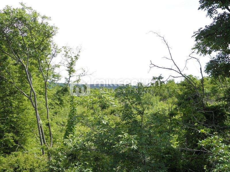 Terreno Štrmac, Sveta Nedelja, 44.000m2