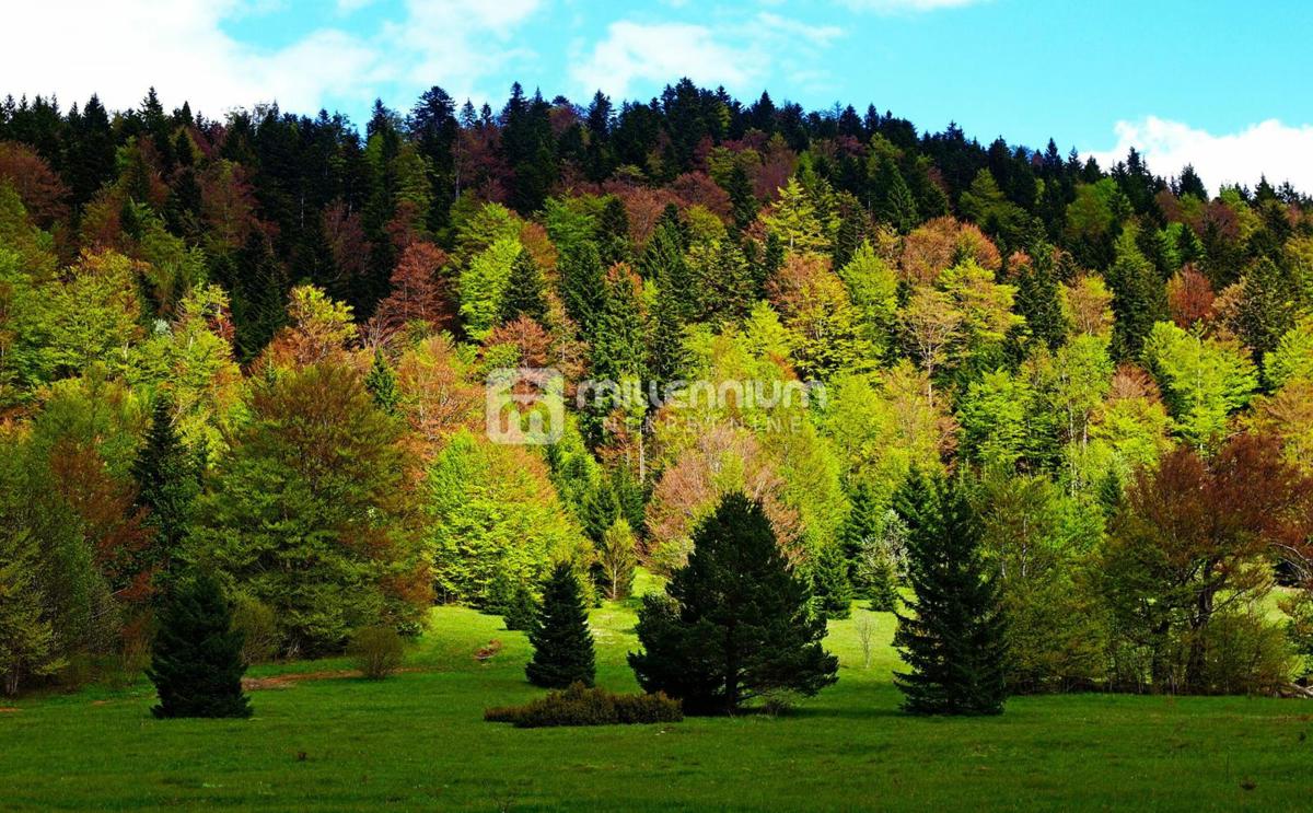 Terreno Ogulin, 8.487m2