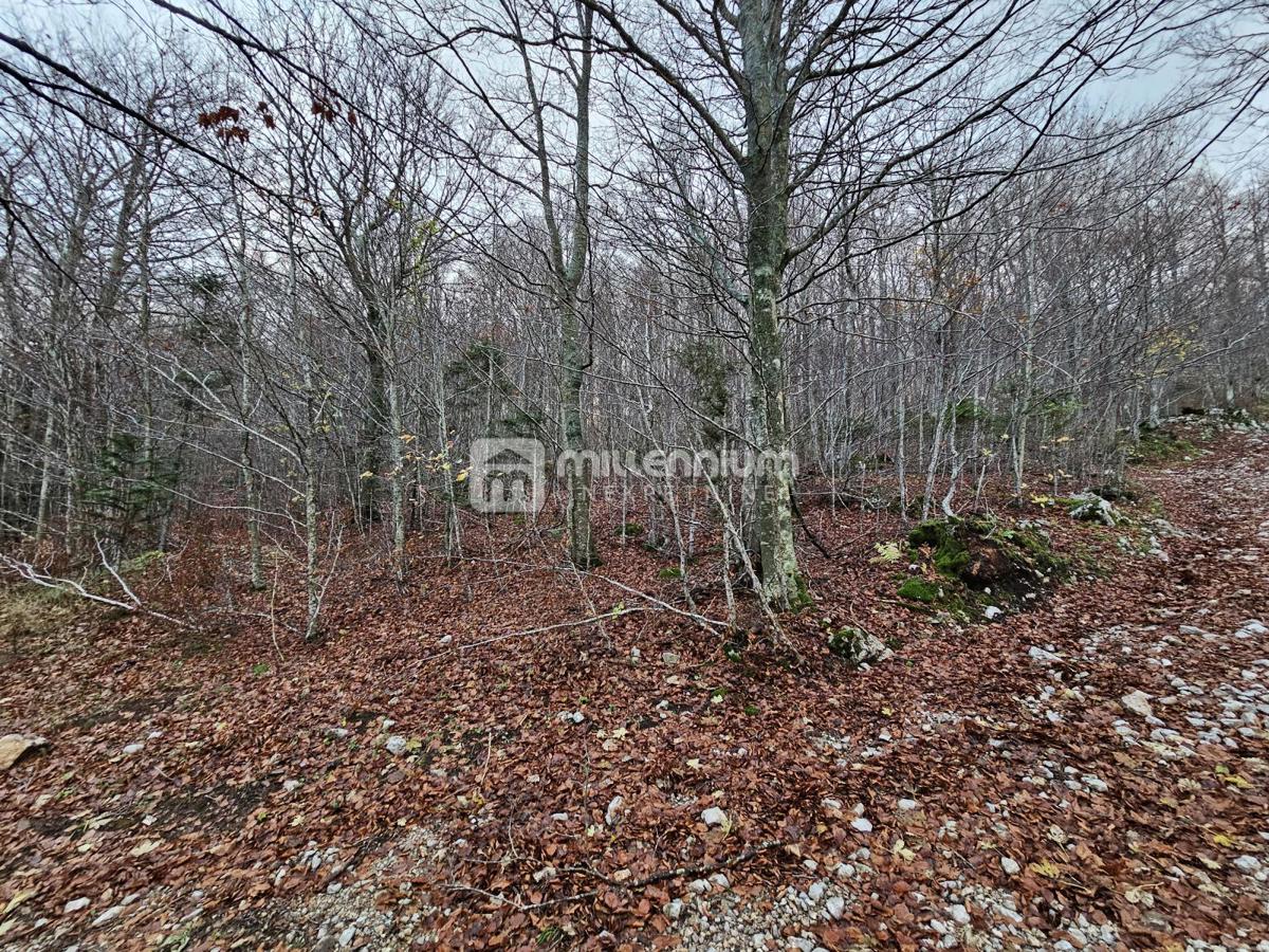 Terreno Lič, Fužine, 2.930m2