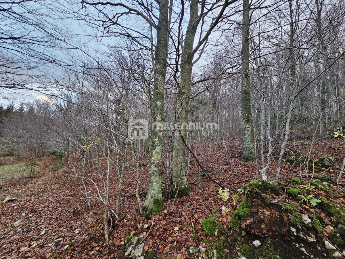 Terreno Lič, Fužine, 2.930m2
