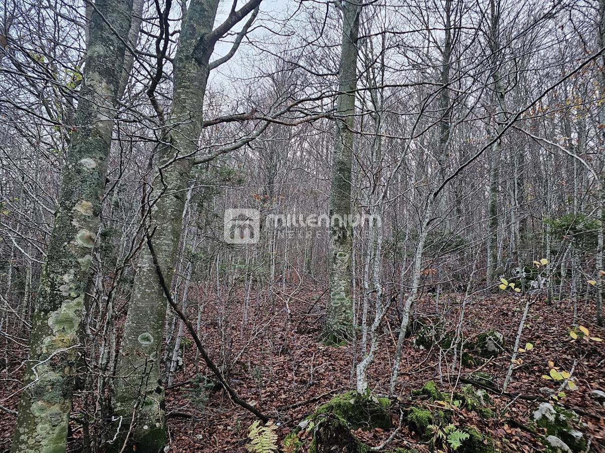 Terreno Lič, Fužine, 2.930m2