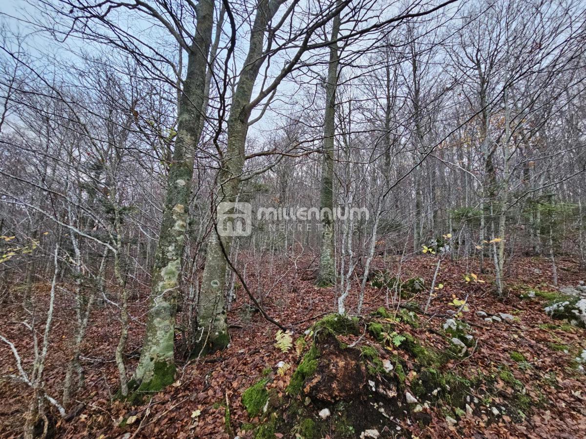 Terreno Lič, Fužine, 2.930m2