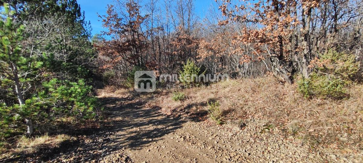 Terreno Paz, Cerovlje, 213.562m2