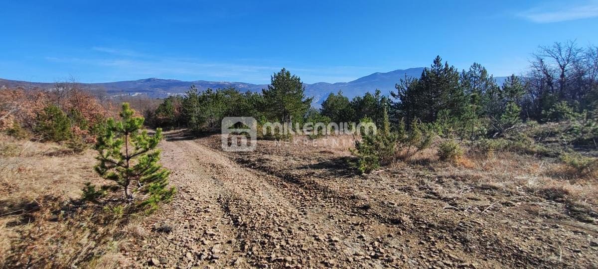 Terreno Paz, Cerovlje, 213.562m2