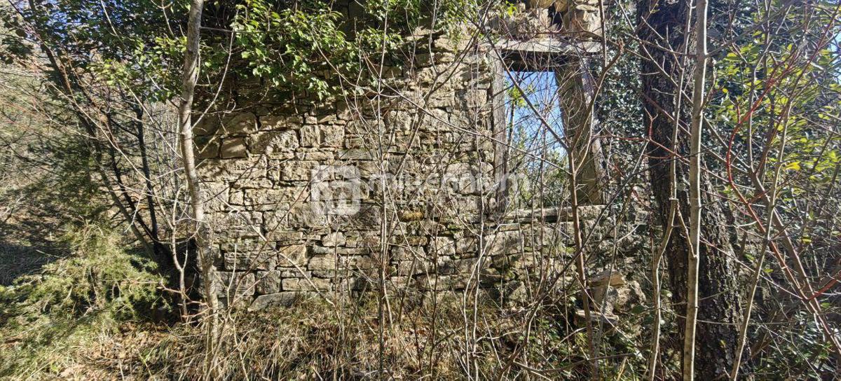 Terreno Paz, Cerovlje, 213.562m2