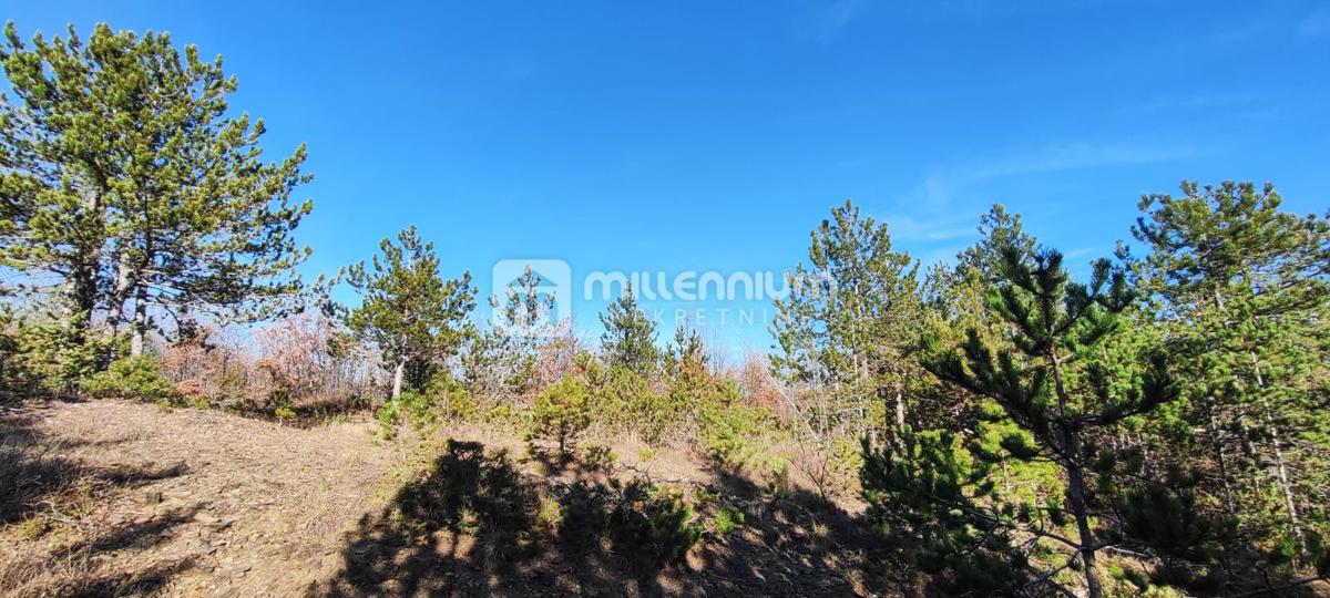 Terreno Paz, Cerovlje, 213.562m2