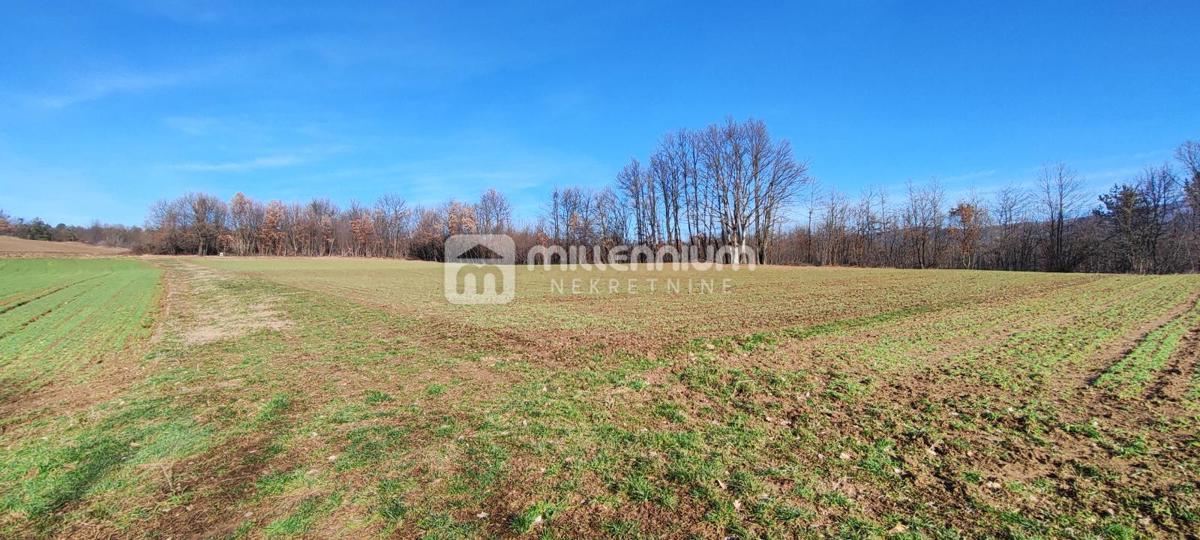 Terreno Paz, Cerovlje, 213.562m2