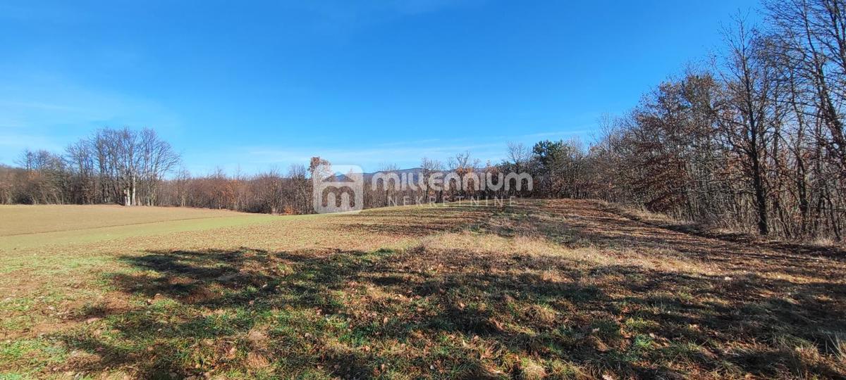 Terreno Paz, Cerovlje, 213.562m2