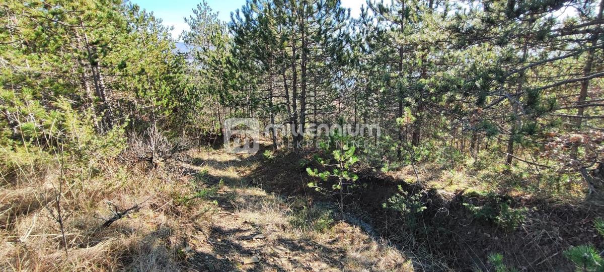 Terreno Paz, Cerovlje, 213.562m2