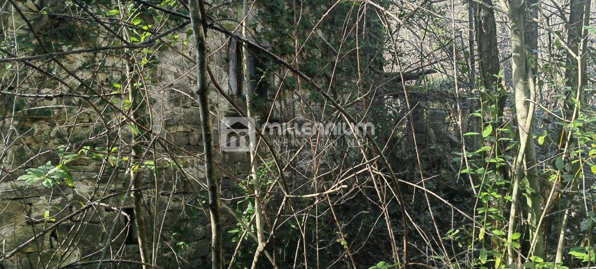 Terreno Paz, Cerovlje, 213.562m2