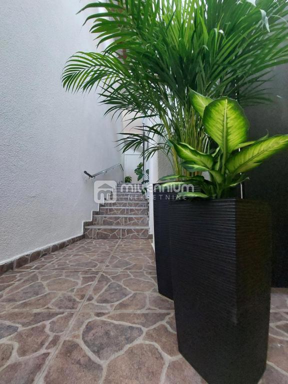 Casa Kastav, 300m2