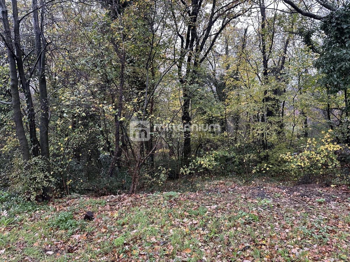 Terreno Čavle, 1.274m2