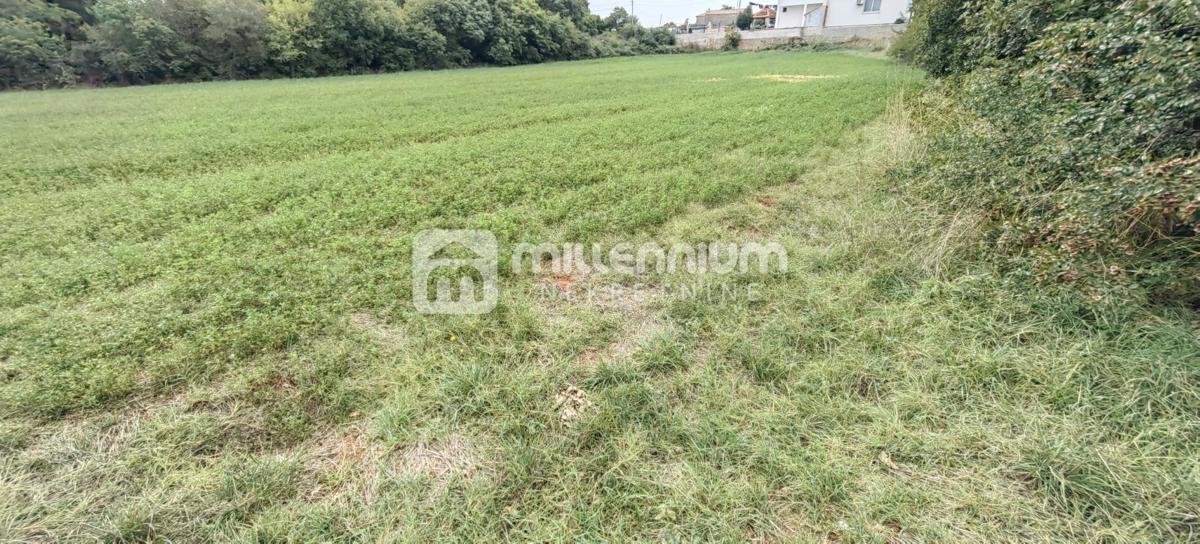 Terreno Marčana, 19.330m2