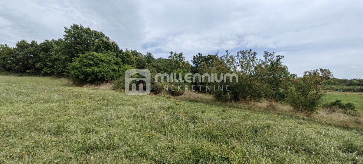 Terreno Marčana, 19.330m2