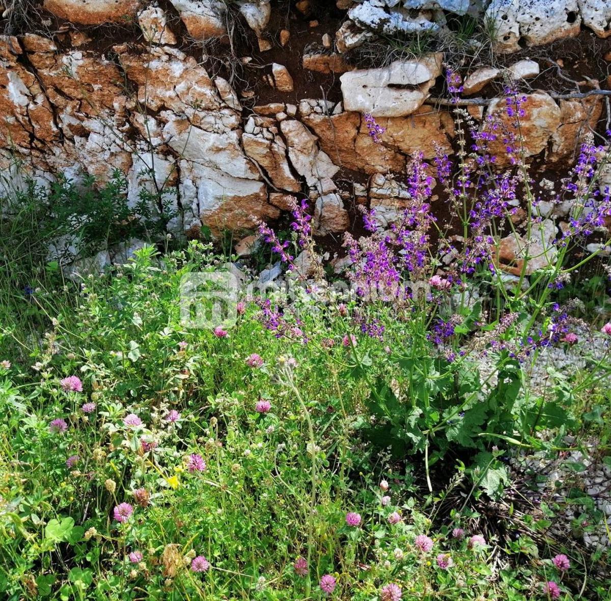 Terreno Rabac, Labin, 6.735m2