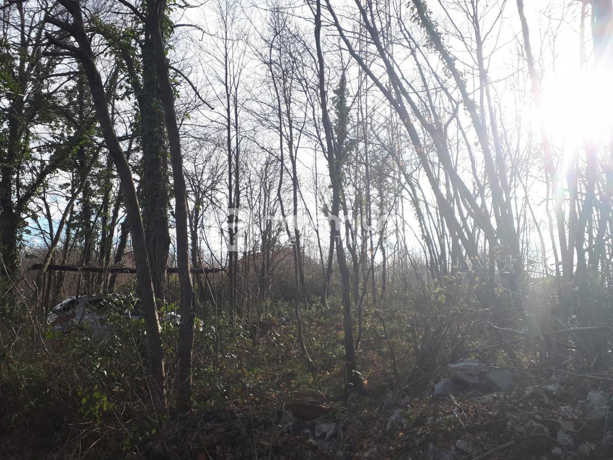 Terreno Tuhtani, Kastav, 2.223m2