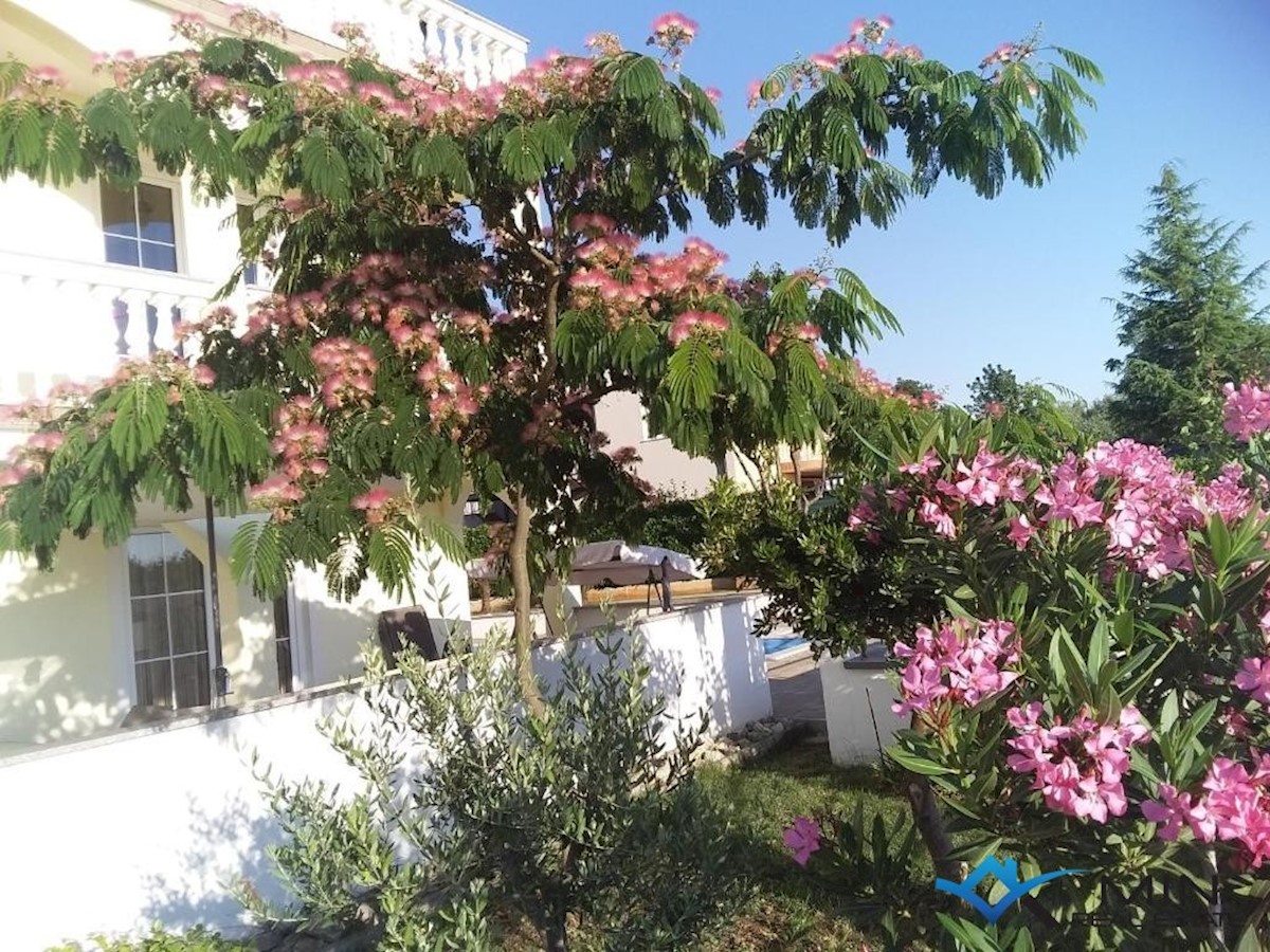 Casa con 6 appartamenti e piscina a Parenzo