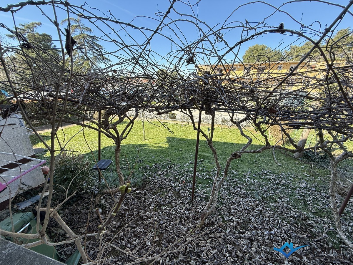 Appartamento con giardino in ottima posizione a Cittanova