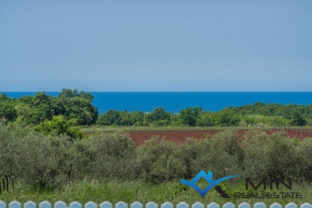 Casa indipendente con piscina a Cittanova