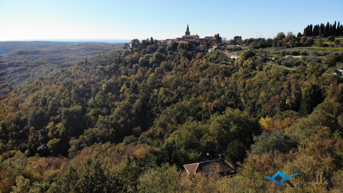 Casa indipendente in pietra a Grisignana