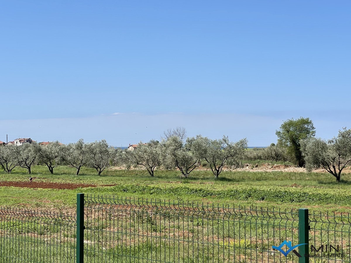 Casa a schiera con giardino a Cittanova