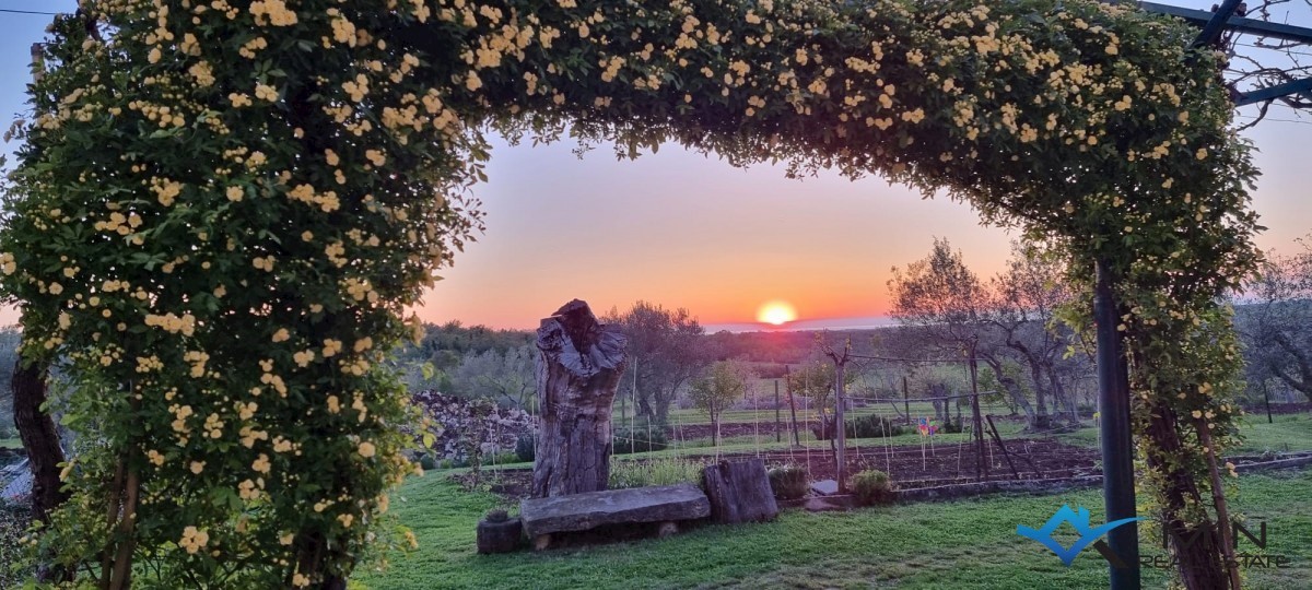 Una casa con un grande giardino nelle vicinanze di Umago  - Umago