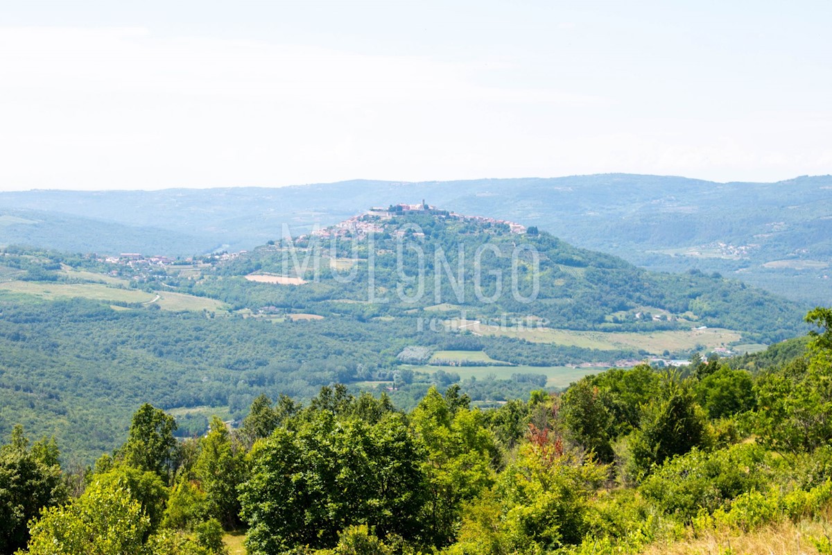 Terreno Motovun, 3.667m2