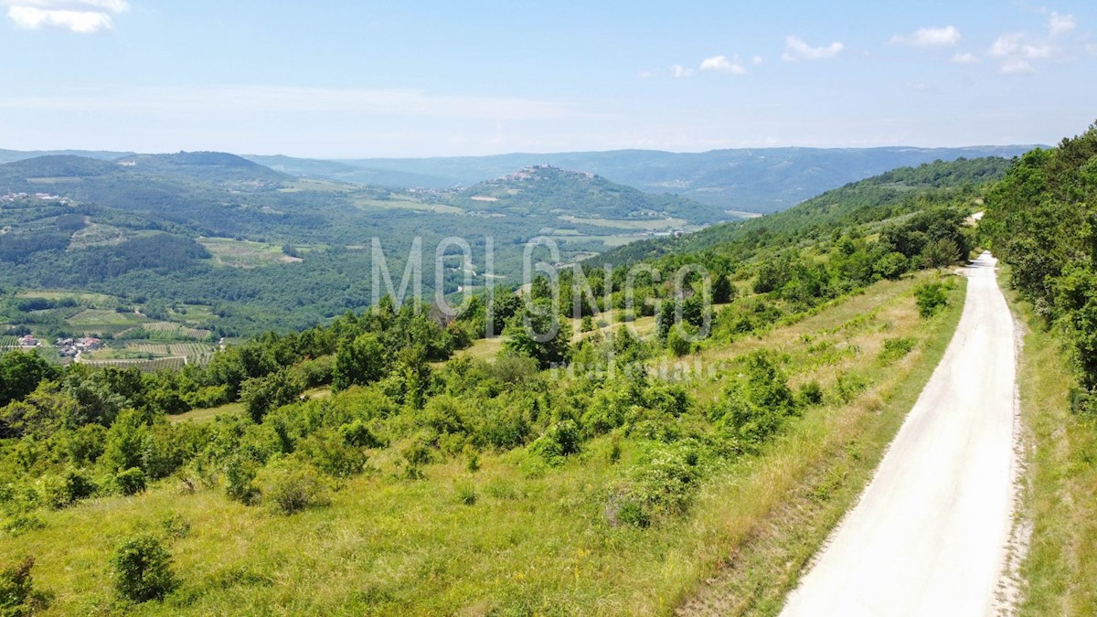 Terreno Motovun, 3.667m2