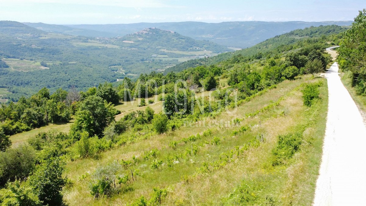 Terreno Motovun, 3.667m2