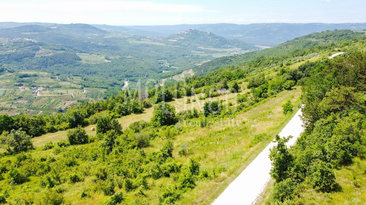 Terreno Motovun, 3.667m2