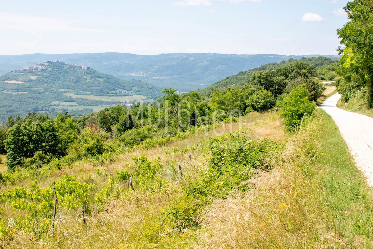 Terreno Motovun, 3.667m2