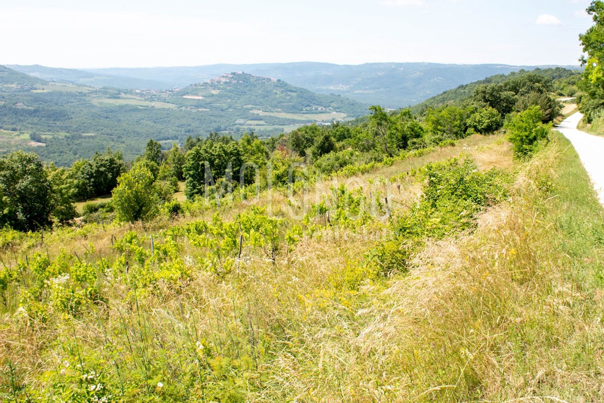 Terreno Motovun, 3.667m2