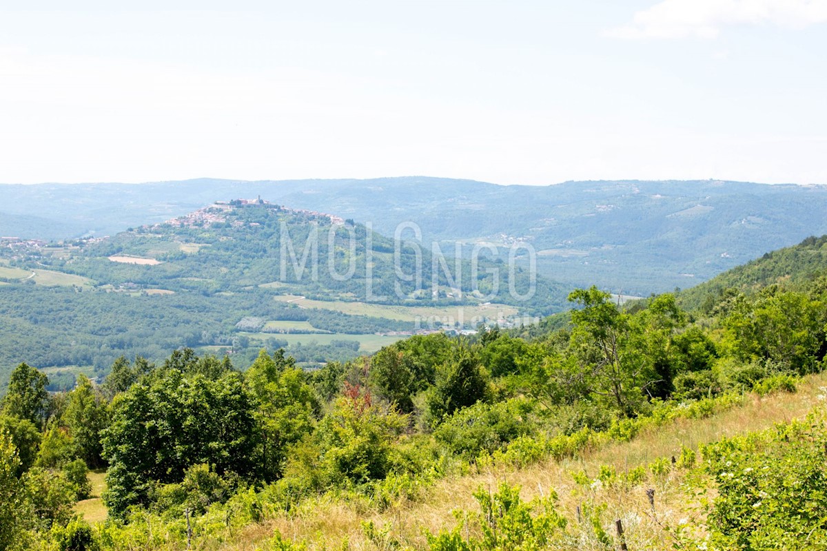 Terreno Motovun, 3.667m2