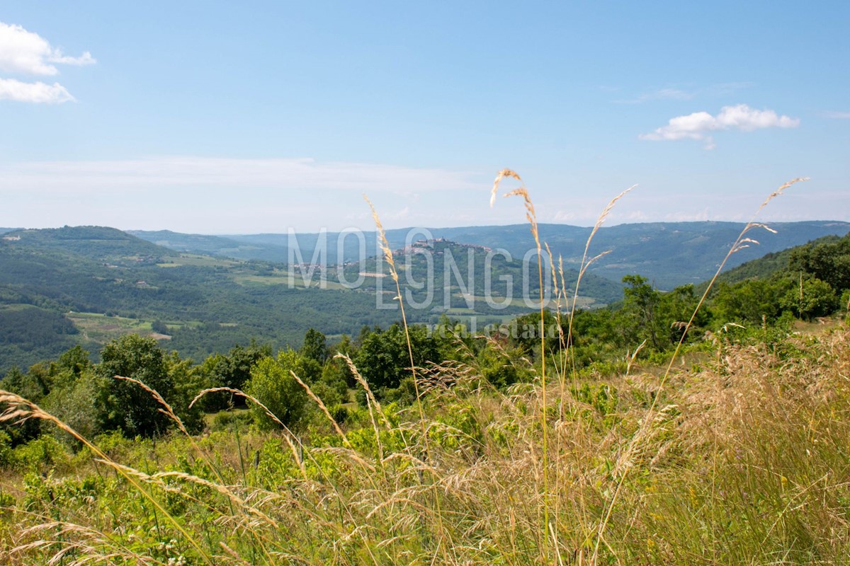 Terreno Motovun, 3.667m2