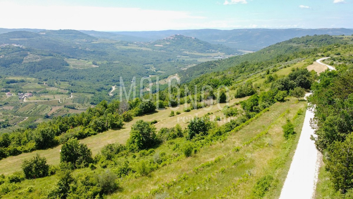 Terreno Motovun, 3.667m2