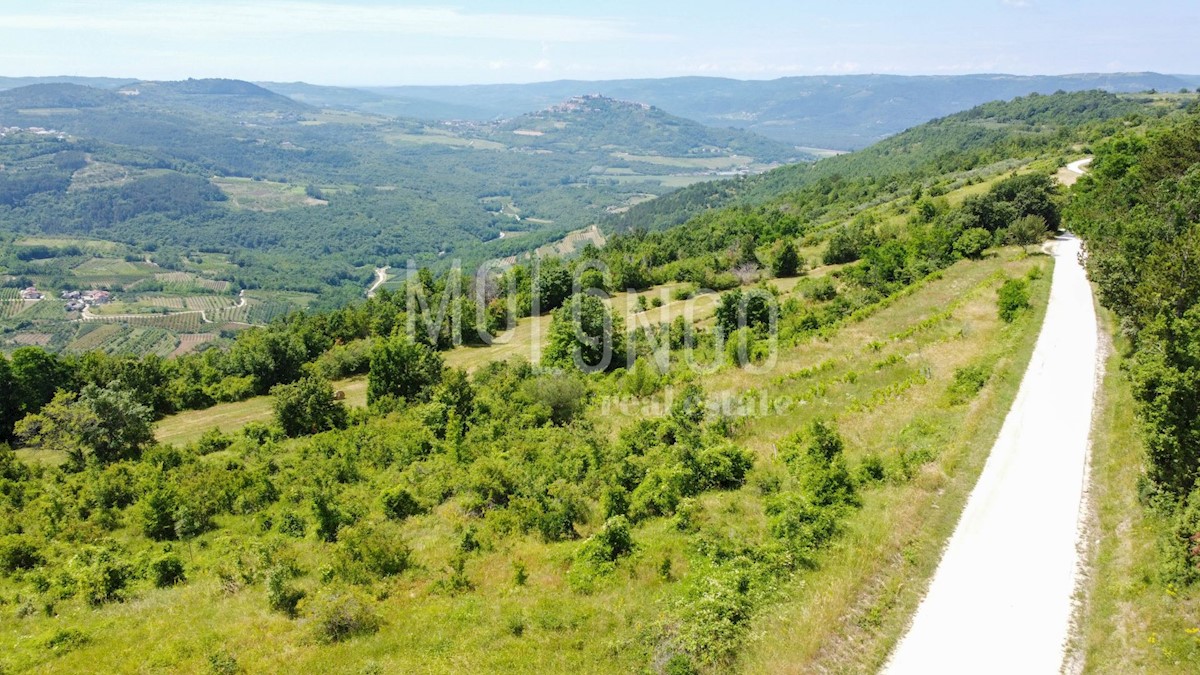 Terreno Motovun, 3.667m2