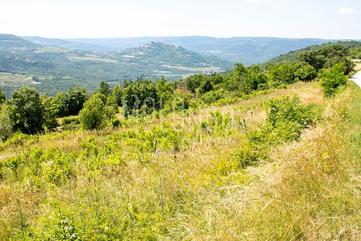 Terreno Motovun, 3.667m2