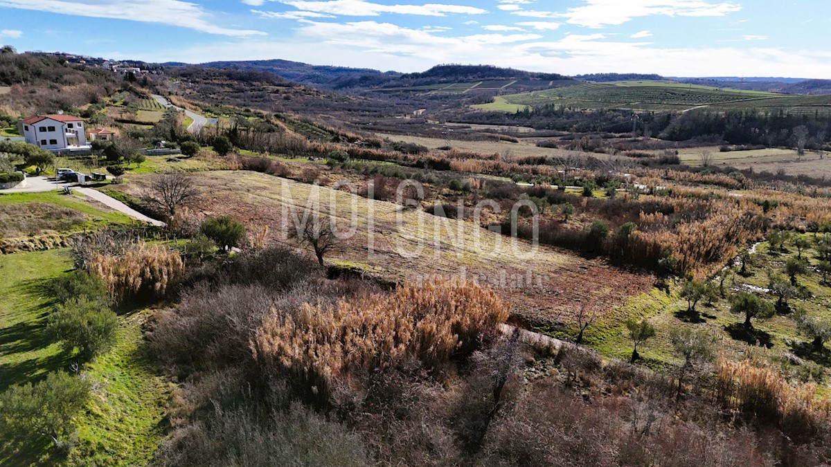 Terreno Buje, 1.036m2