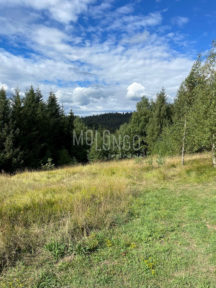 Terreno Lokve, 11.000m2