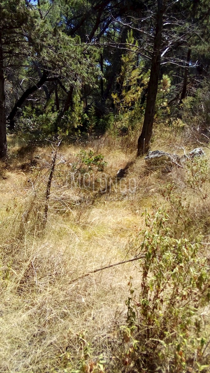 Terreno Splitska, Supetar, 500m2