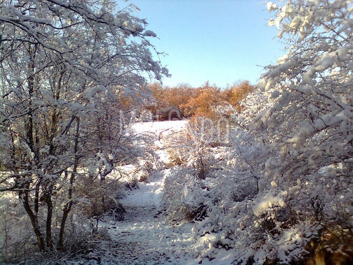 Casa Slivnica, Posedarje, 113m2