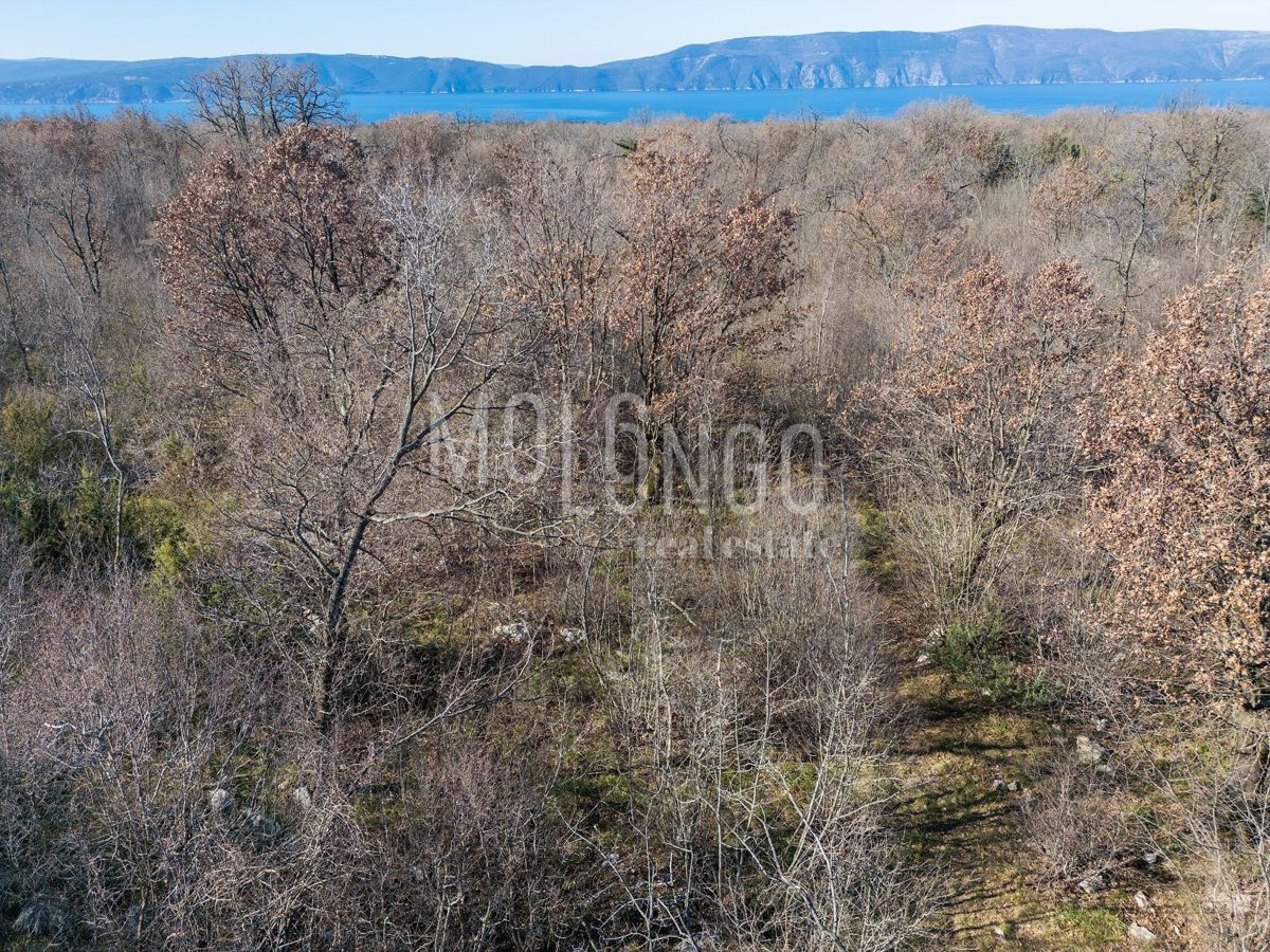 Terreno Vrh, Krk, 46.116m2