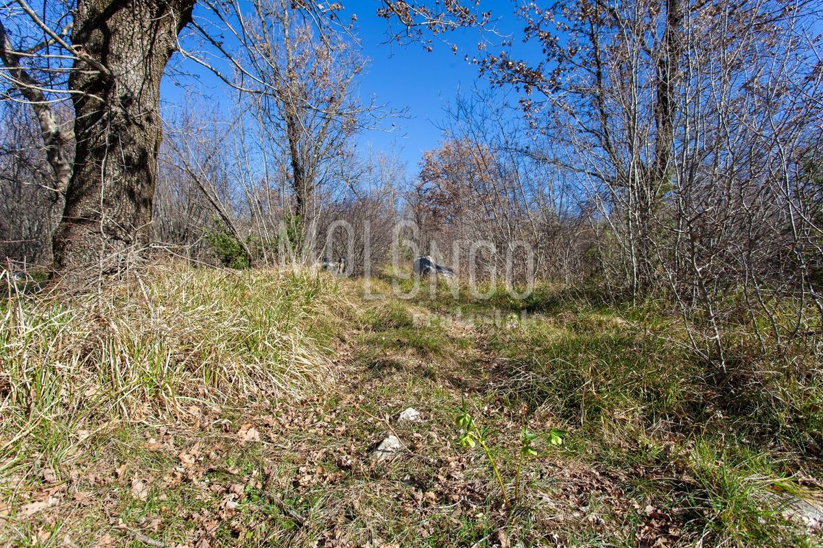 Terreno Vrh, Krk, 46.116m2